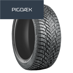 Nokian Hakkapeliitta 10 EV