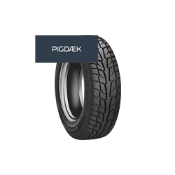 Hankook RW09 Winter i*Pike LT