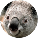 Quero verdade profile picture